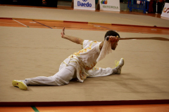 F173F00E-B24C-4571-A502-8F2EC2711F52_1_105_c