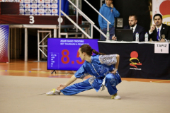 F22AEED7-71DE-472D-AB8F-07057406AFBD_1_105_c