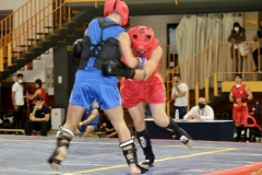 mzikoSbFRuC9gZiIncDVLg_thumb_1b83