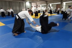 DSCN3695