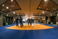 TROFEO-JUDOESPANA-MALAGA-2020-GabiJuan-0010