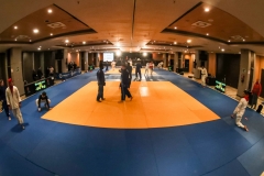 TROFEO-JUDOESPANA-MALAGA-2020-GabiJuan-0011