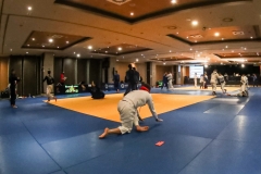 TROFEO-JUDOESPANA-MALAGA-2020-GabiJuan-0013