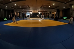 TROFEO-JUDOESPANA-MALAGA-2020-GabiJuan-0014