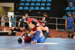 01EFD09C-AFEF-4569-8BCC-D7FA635F7145_1_105_c