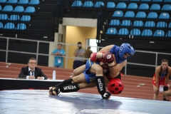 34237BBD-07DE-4449-B201-E9269B0C12AA_1_105_c