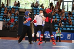 C65776B0-2C80-4E70-A80E-27F0E98EBC82_1_105_c