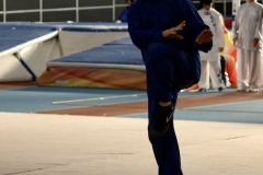 D2502CC4-F350-4F03-867B-B1907ACF3F62_1_105_c