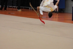 20230618094911_IMG_0083