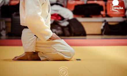 Lo bueno del Judo