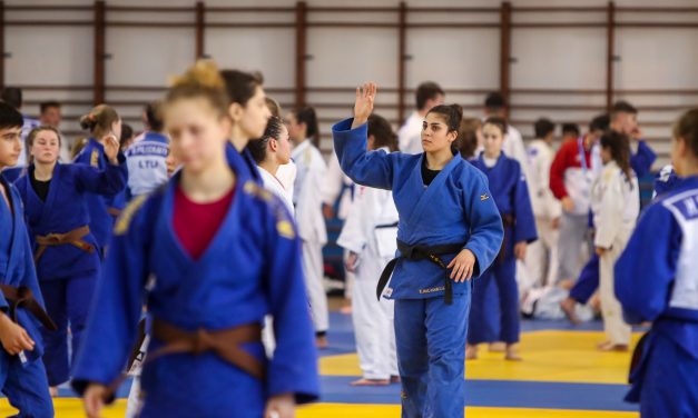 ¿Qué sentido tiene?