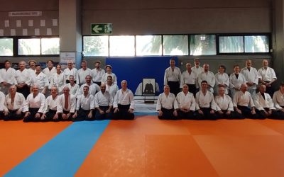 Curso de Aikido en la Federación Valenciana