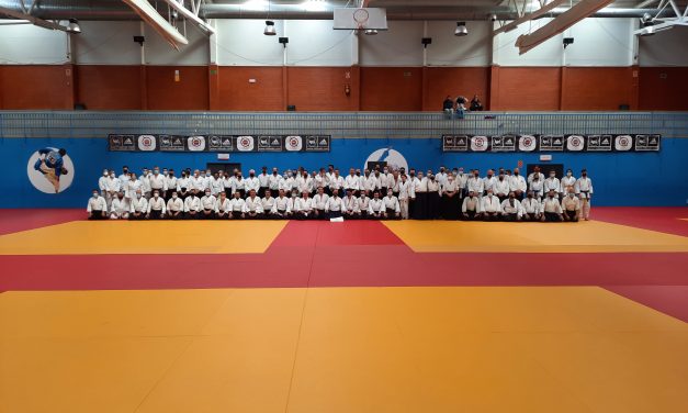 Curso de Aikido, 13 de febrero, Madrid
