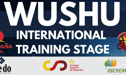 Stage Internacional de WuShu